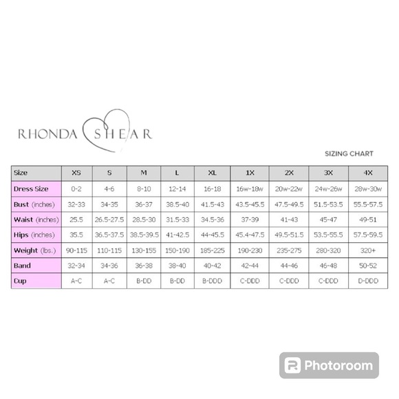 Rhonda Shear Gray Molded Cup Bra With Pink Lace Detail Size 2X - Picture 6 of 6